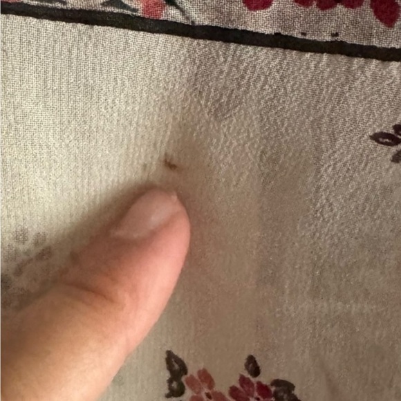 🌺Joie Haya Cream Red Paisley Floral Silk Boho Peasant Blouse Top Size XS🌺 - Picture 5 of 6